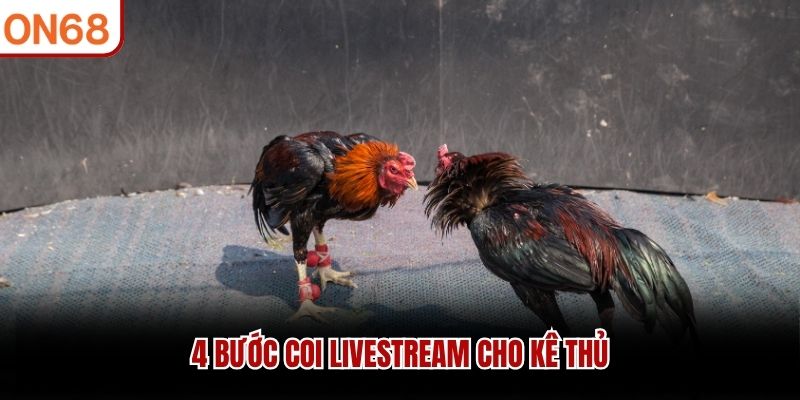 4 bước coi livestream cho kê thủ