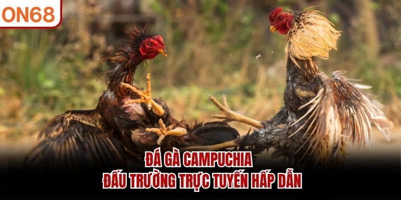 Đá Gà Campuchia