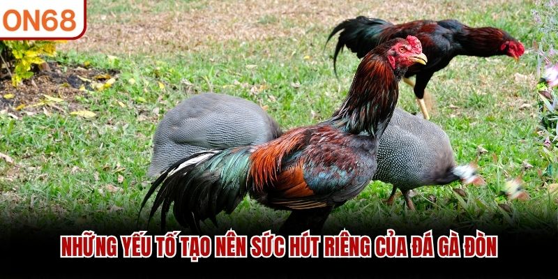 Những yếu tố tạo nên sức hút riêng của đá gà đòn