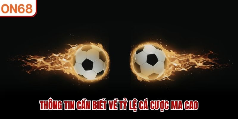 Th&ocirc;ng tin cần biết về tỷ lệ c&aacute; cược Ma Cao&nbsp;