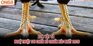 xem vảy gà