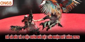 Đá gà nòi
