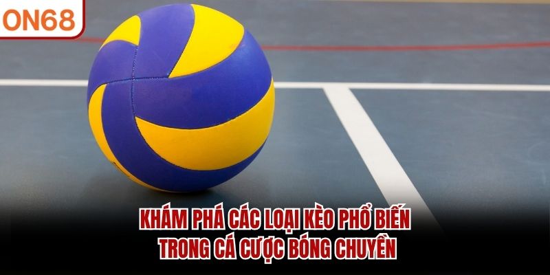 Khám phá các loại kèo phổ biến trong cá cược bóng chuyền