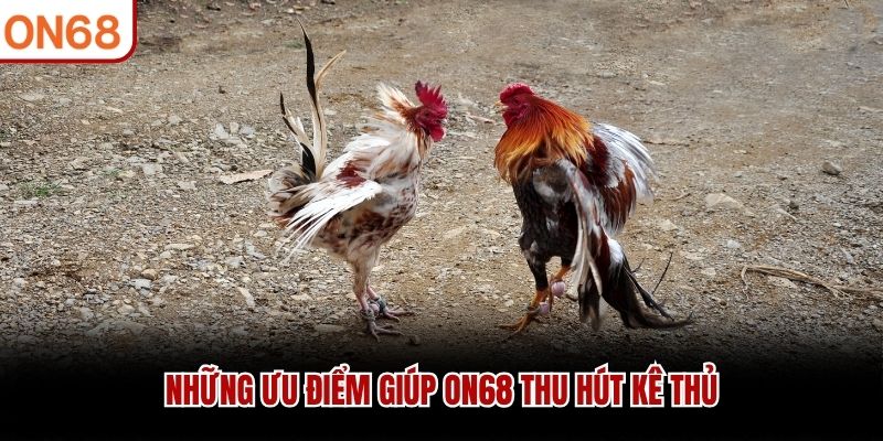 Những ưu điểm giúp ON68 thu hút kê thủ