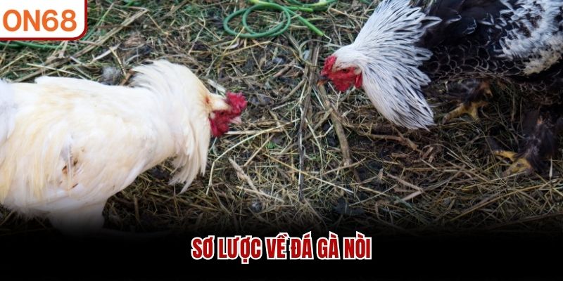 Sơ lược về đá gà nòi
