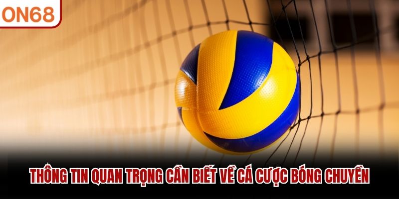 Thông tin quan trọng cần biết về cá cược bóng chuyền